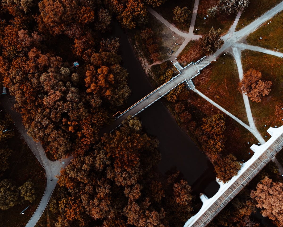 Drone shot of autumn coloured forest and roads