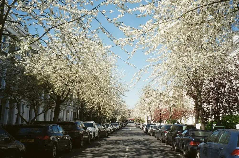 Street lined with cars in Spring