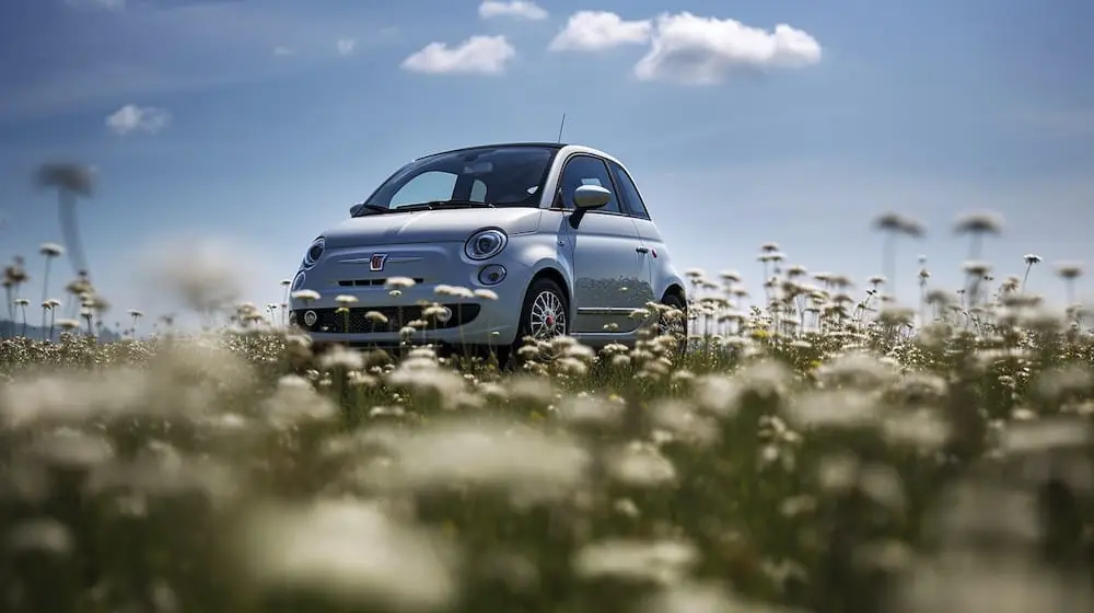 Fiat 500 in Grey parked in a field full of daisy's