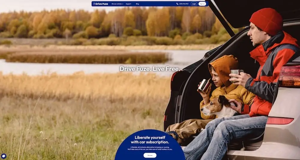 Screenshot of Drive Fuze Website